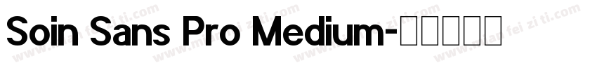 Soin Sans Pro Medium字体转换